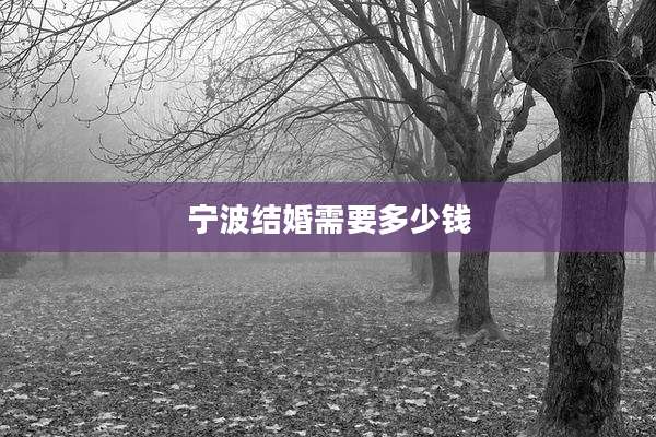 宁波结婚需要多少钱