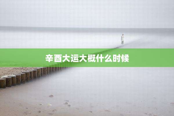 辛酉大运大概什么时候