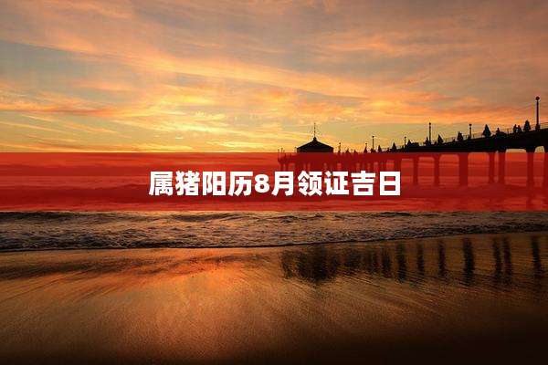 属猪阳历8月领证吉日