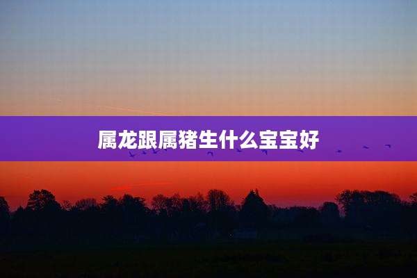 属龙跟属猪生什么宝宝好