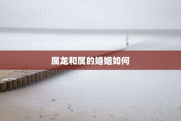 属龙和属的婚姻如何