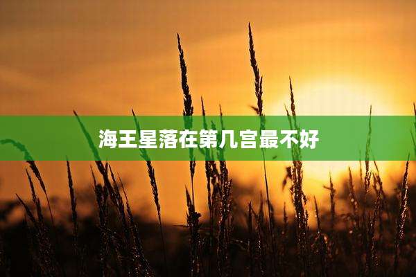 海王星落在第几宫最不好