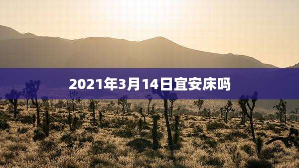2021年3月14日宜安床吗