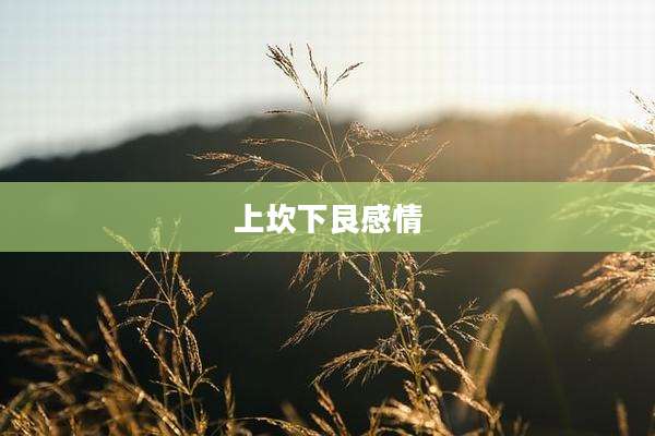 上坎下艮感情