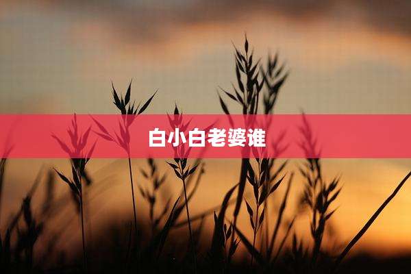 白小白老婆谁