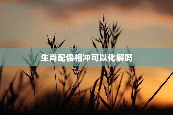 生肖配偶相冲可以化解吗