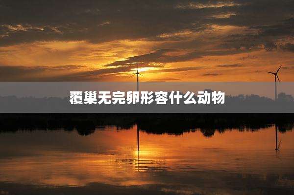 覆巢无完卵形容什么动物
