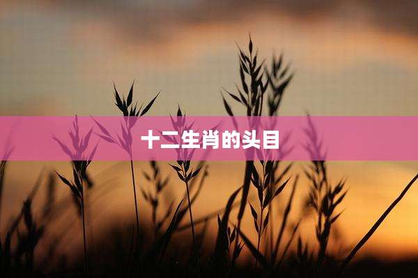 十二生肖的头目