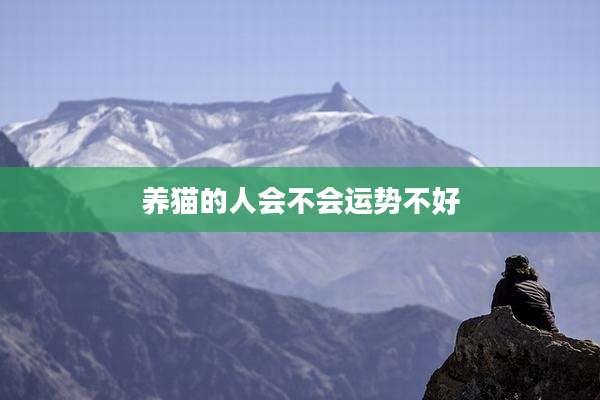 养猫的人会不会运势不好