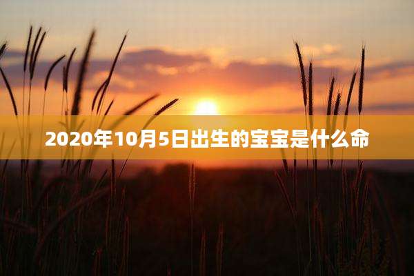 2020年10月5日出生的宝宝是什么命