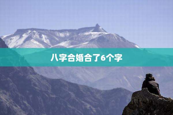 八字合婚合了6个字