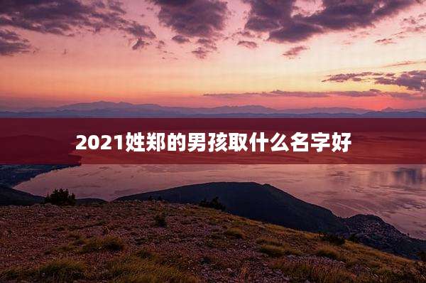2021姓郑的男孩取什么名字好