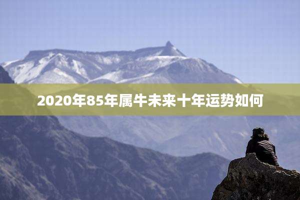 2020年85年属牛未来十年运势如何