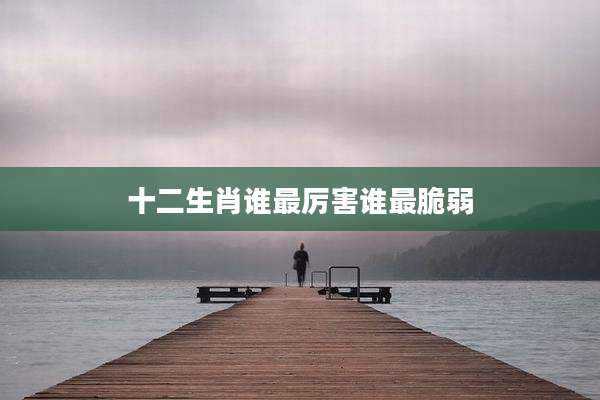 十二生肖谁最厉害谁最脆弱
