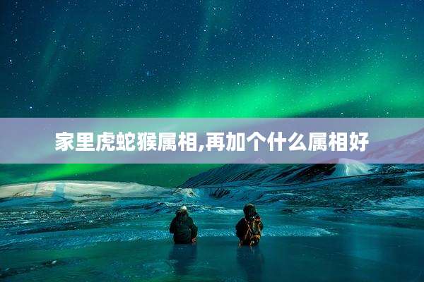 家里虎蛇猴属相,再加个什么属相好