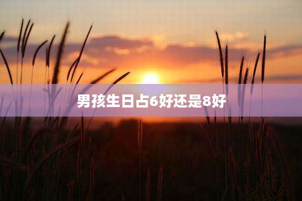 男孩生日占6好还是8好