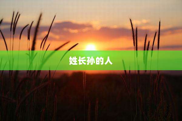 姓长孙的人