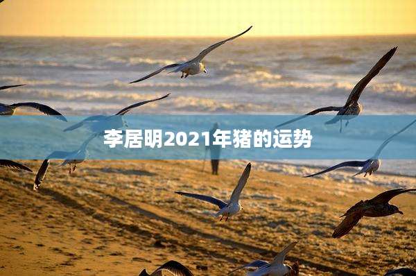 李居明2021年猪的运势