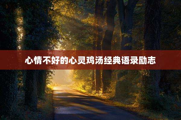 心情不好的心灵鸡汤经典语录励志