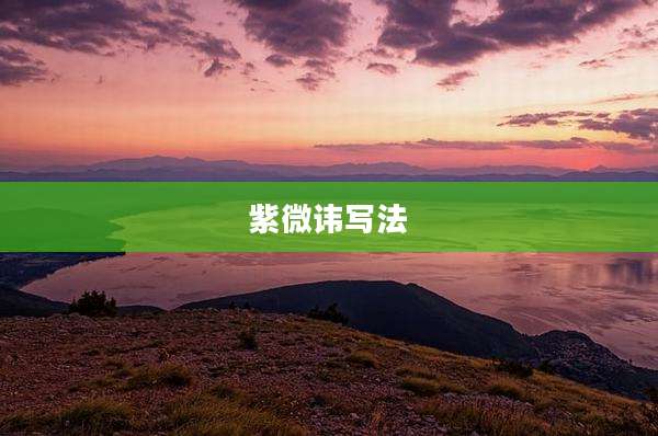 紫微讳写法