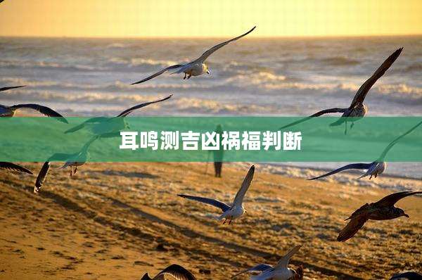 耳鸣测吉凶祸福判断