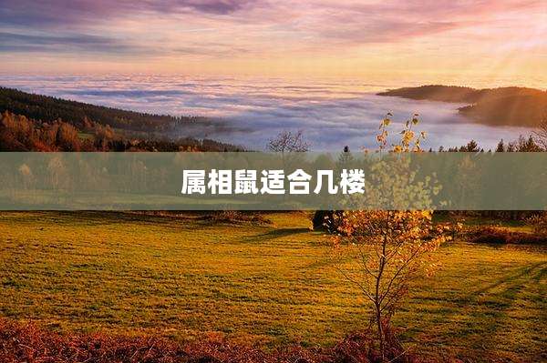 属相鼠适合几楼