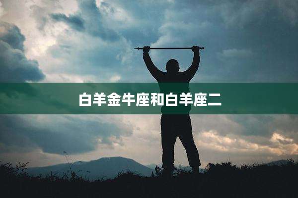 白羊金牛座和白羊座二