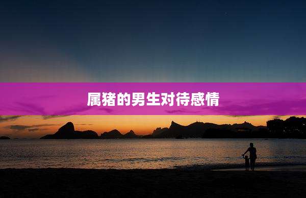 属猪的男生对待感情