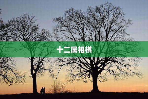 十二属相棋