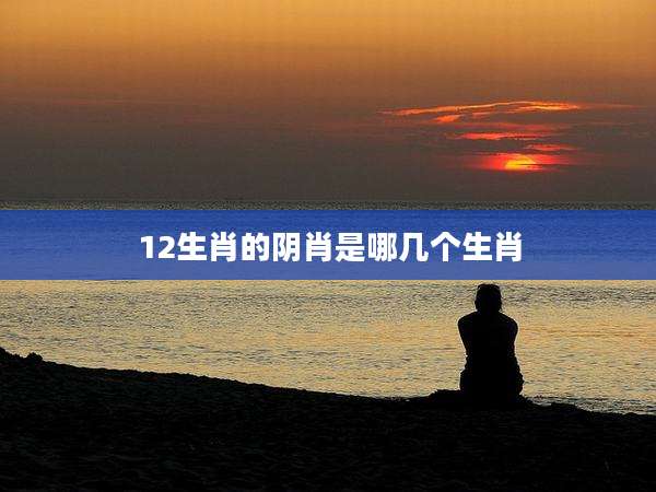 12生肖的阴肖是哪几个生肖