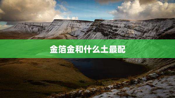 金箔金和什么土最配