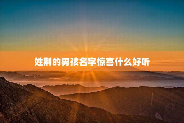 姓荆的男孩名字惊喜什么好听