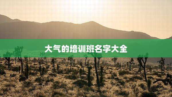 大气的培训班名字大全