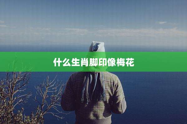 什么生肖脚印像梅花
