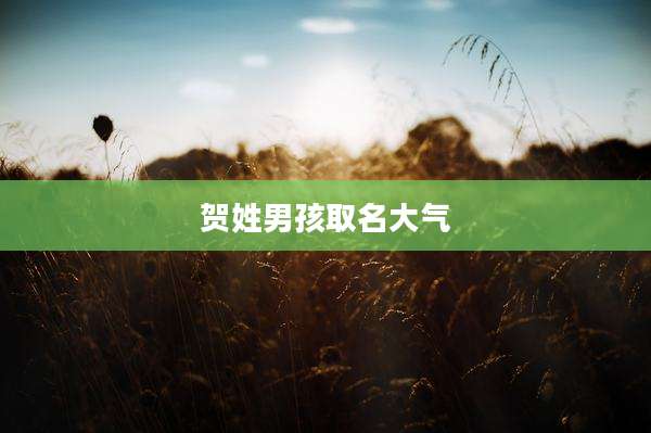 贺姓男孩取名大气