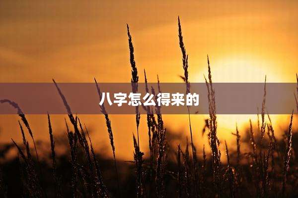 八字怎么得来的