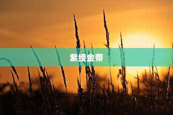 紫绶金带