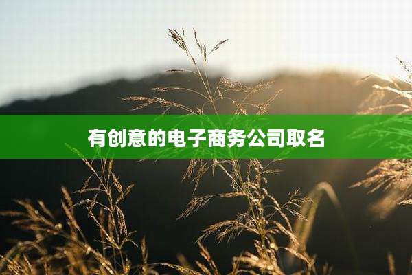 有创意的电子商务公司取名