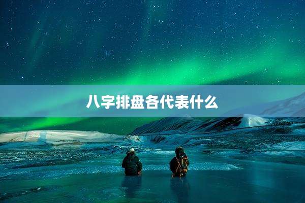 八字排盘各代表什么