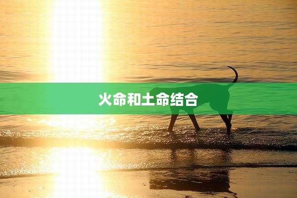 火命和土命结合