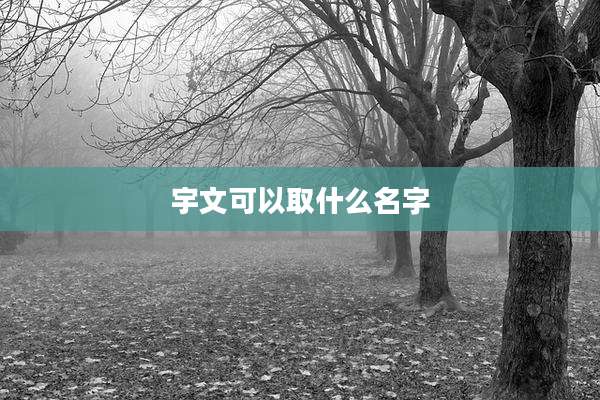 宇文可以取什么名字