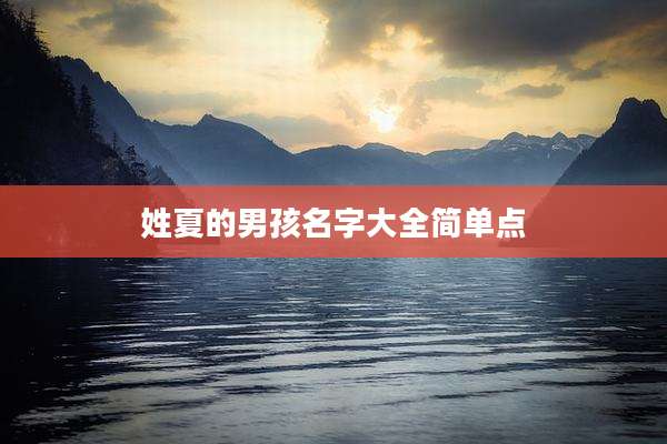 姓夏的男孩名字大全简单点