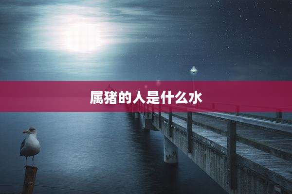 属猪的人是什么水