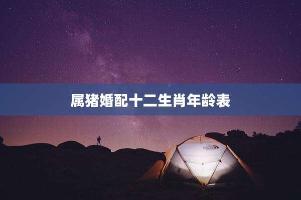 属猪婚配十二生肖年龄表