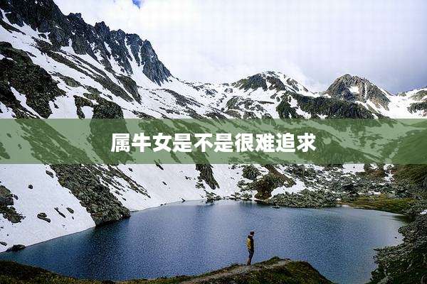 属牛女是不是很难追求