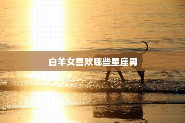 白羊女喜欢哪些星座男