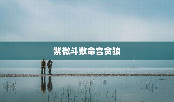 紫微斗数命宫贪狼