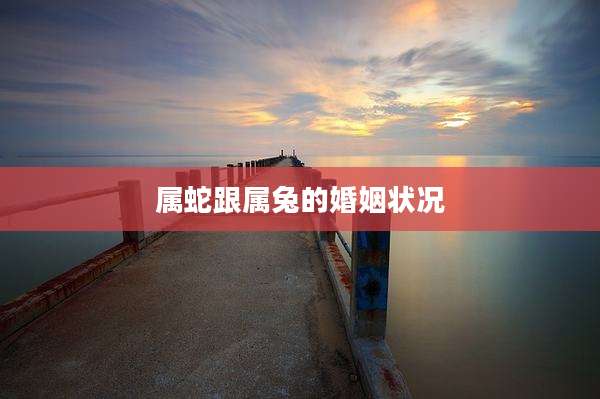 属蛇跟属兔的婚姻状况