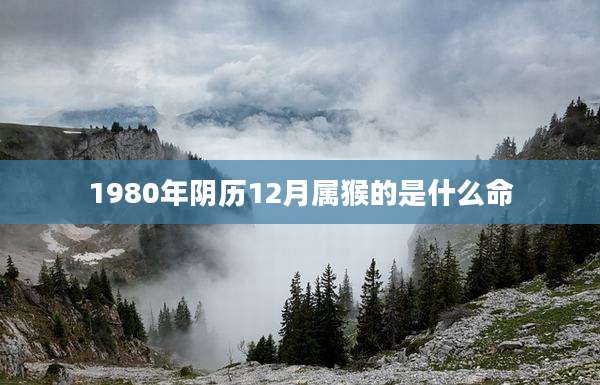 1980年阴历12月属猴的是什么命