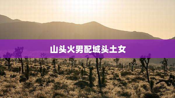 山头火男配城头土女
